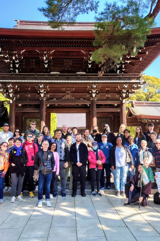 Tokyo: Meiji Shrine, Asakusa, Skytree Bus Tour and Cruise - Odaiba and the short Tokyo Bay cruise