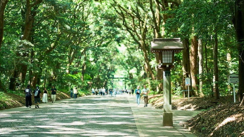 Tokyo: Meiji Shrine Walking Tour — Shinto & Imperial System - Key points before you book