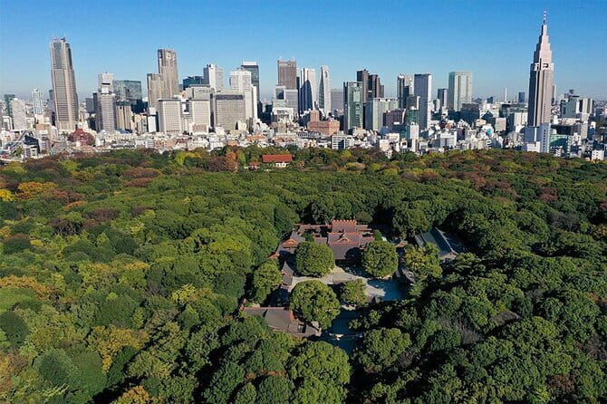 Tokyo: Meiji Shrine Walking Tour — Shintoism & Imperial System - Walking Under the Giant Cypress Torii