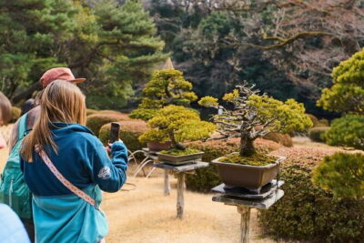 Tokyo: Meiji Shrine Walking Tour — Shintoism & Imperial System - Learning Shinto Customs Along the Forest Path