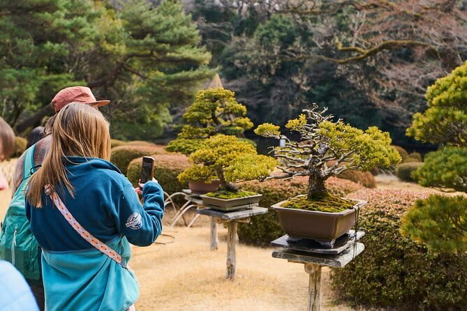 Tokyo: Meiji Shrine Walking Tour — Shintoism & Imperial System