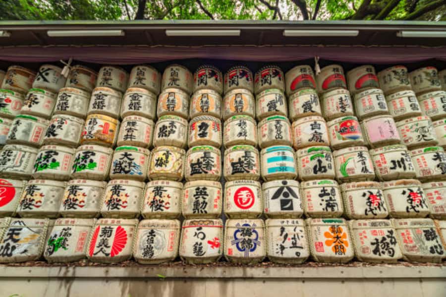 Tokyo: Meiji Shrine Walking Tour with Local Guide - Crossing the torii with the right manners