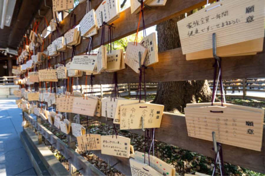 Tokyo: Meiji Shrine Walking Tour with Local Guide - Ending where shrine life meets Harajuku