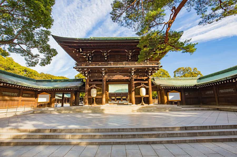 Tokyo: Meiji Shrine Walking Tour with Local Guide - What $20 gets you