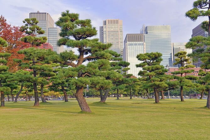 Tokyo Morning Small Group Tour