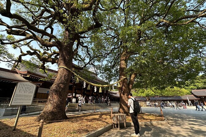 Tokyo Morning Tour : Meiji Shrine, Asakusa and Fish Market - What the small group changes