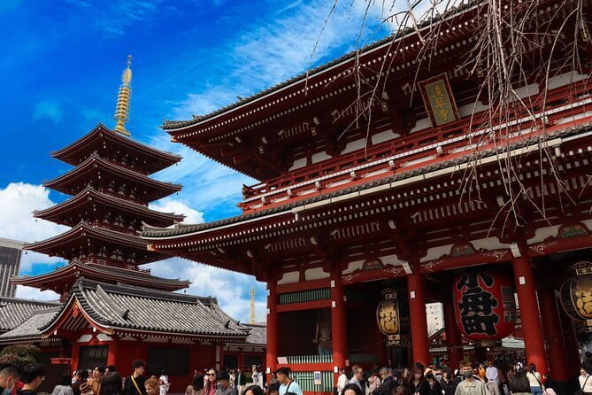 Tokyo Morning Tour : Meiji Shrine, Asakusa and Fish Market - What $72.67 buys you