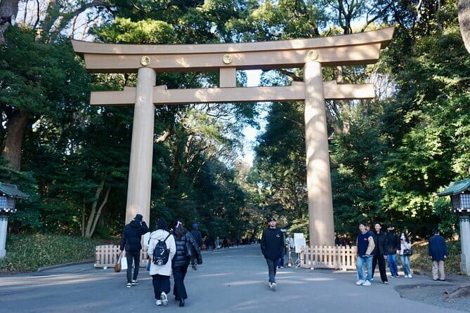 Tokyo Morning Tour : Meiji Shrine, Asakusa and Fish Market - Timing, transport, and practical preparation