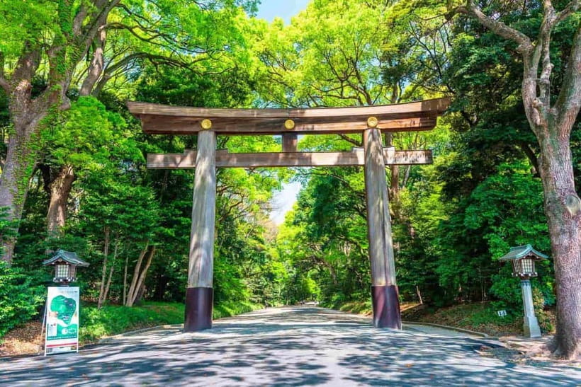 Tokyo Morning Tour: Meiji Shrine, Asakusa & Fish Market - Meiji Shrine: a calm start in central Tokyo