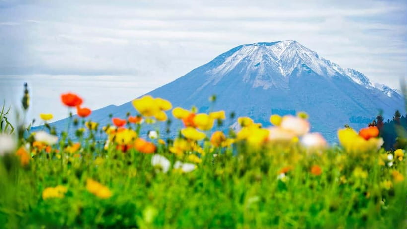 Tokyo: Mount Fuji 5th Station & Onsen Day Trip - Mt. Fuji 5th Station at 2,300 Meters