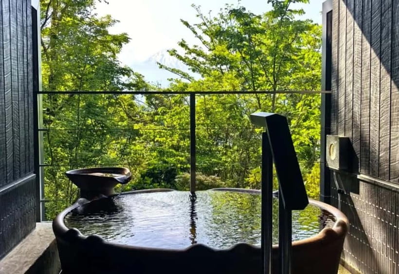 Tokyo: Mount Fuji 5th Station & Onsen Day Trip - Shintaku-yama Asama Park in the Off-Season