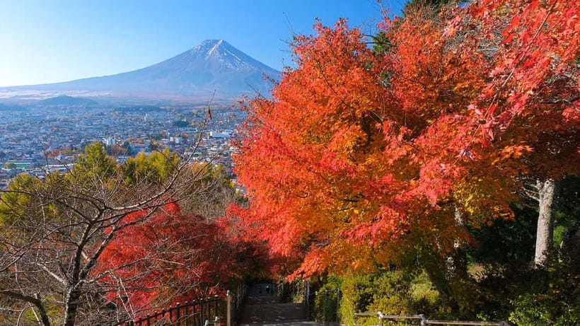 Tokyo: Mount Fuji 5th Station & Onsen Day Trip - Should You Book This Fuji Day Trip?