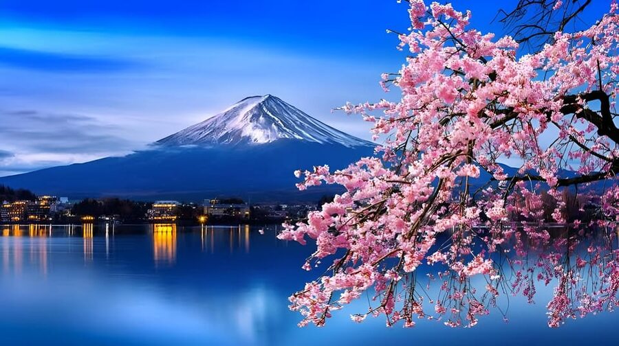 Tokyo: Mount Fuji and Hakone private sightseeing tour - Choose the Fuji Five Lakes route