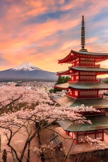 Tokyo: Mount Fuji and Hakone private sightseeing tour - FAQ