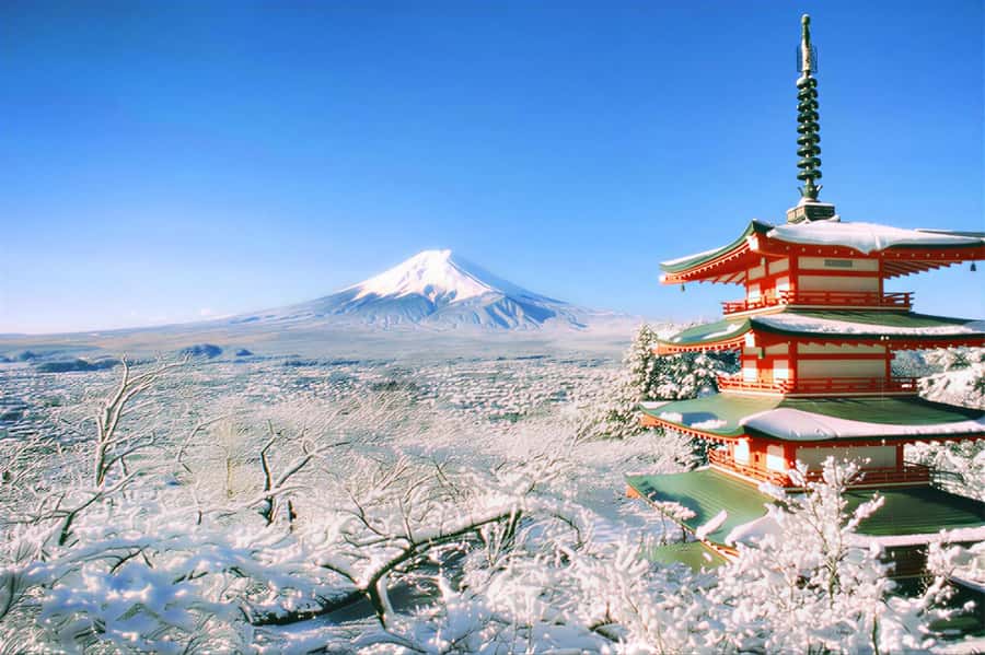Tokyo: Mount Fuji Day Trip with Scenic & Local Stops - Why this Fuji route works from Tokyo