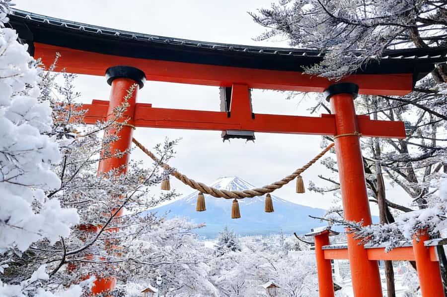 Tokyo: Mount Fuji Day Trip with Scenic & Local Stops - Niikurayama Asama Park and the classic Fuji postcard