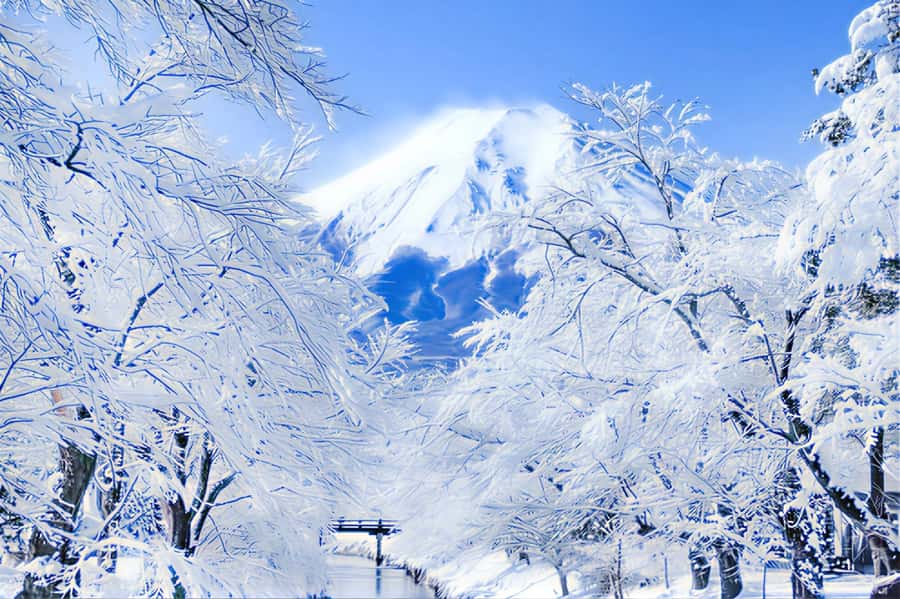 Tokyo: Mount Fuji Day Trip with Scenic & Local Stops - Fuji Lawson and the famous convenience-store frame
