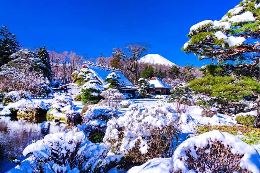 Tokyo: Mount Fuji Day Trip with Scenic & Local Stops - Guides, transport, and the pace of the day