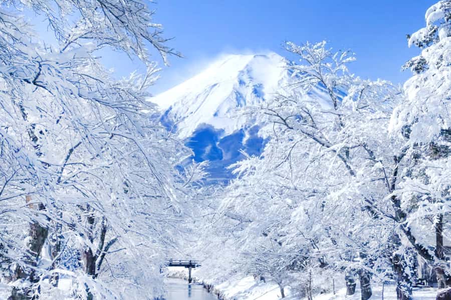Tokyo: Mount Fuji Day Trip with Scenic & Local Stops - Weather, crowds, and the real Fuji gamble
