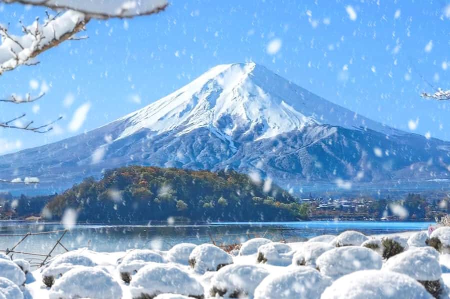 Tokyo: Mount Fuji Day Trip with Scenic & Local Stops - Who should book this $44 Fuji day trip