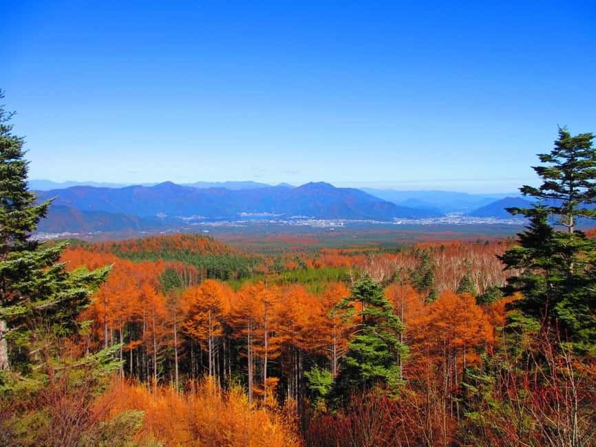 Tokyo: Mount Fuji, Gotemba & Hakone Day Trip by Luxury Bus - From Shinjuku to Mount Fuji’s fifth station