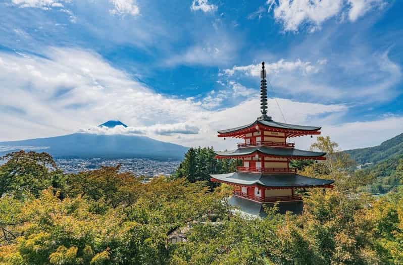 Tokyo: Mount Fuji & Hakone Private Customized Full Day Tour - Key points to know before booking