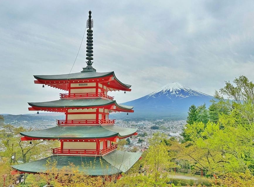 Tokyo: Mount Fuji & Hakone Private Customized Full Day Tour - A private way out of Tokyo