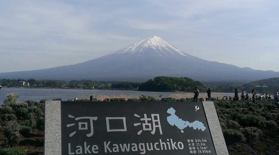 Tokyo: Mount Fuji & Hakone Private Customized Full Day Tour - Oishi Park and Lake Kawaguchi