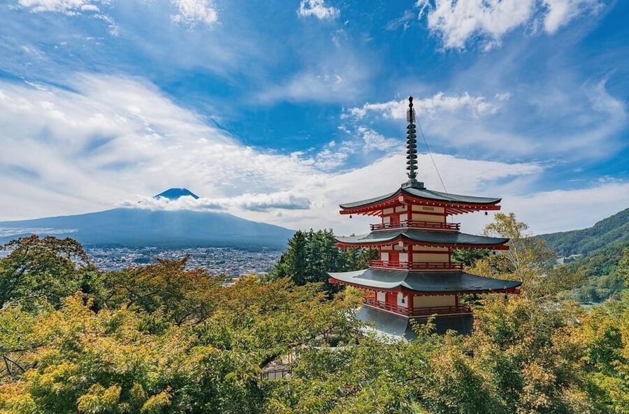 Tokyo: Mount Fuji & Hakone Private Customized Full Day Tour - What the private format really changes