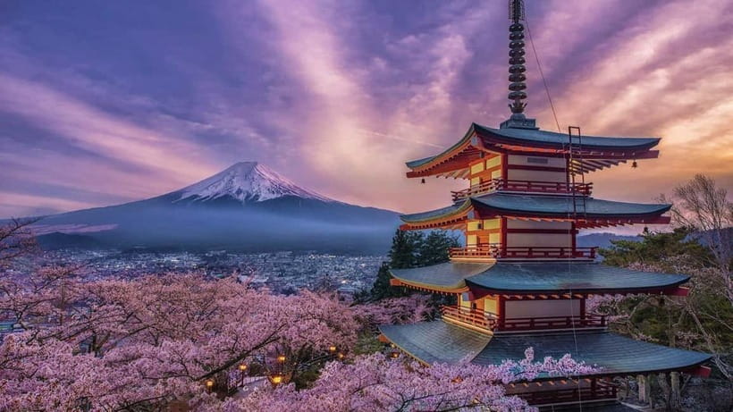 Tokyo: Mount Fuji & Hakone Private Tour with Guide - Fuji Subaru Line 5th Station at 2,300 meters