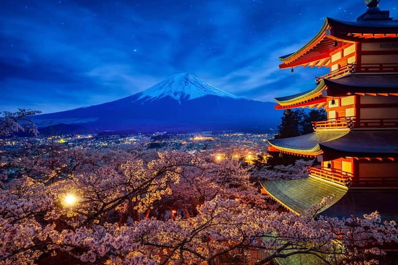 Tokyo: Mount Fuji & Hakone Private Tour with Guide - Fuji Sengen Shrine and its old cedar approach