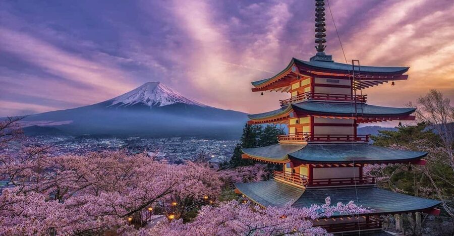 Tokyo: Mount Fuji & Hakone Private Tour with Guide - Starting in Tokyo: comfort matters