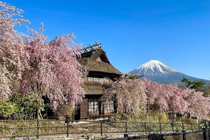 Tokyo: Mount Fuji Must-see Attractions One Day Sightseeing Tour - Oshino Hakkai and Fuji’s clear spring water