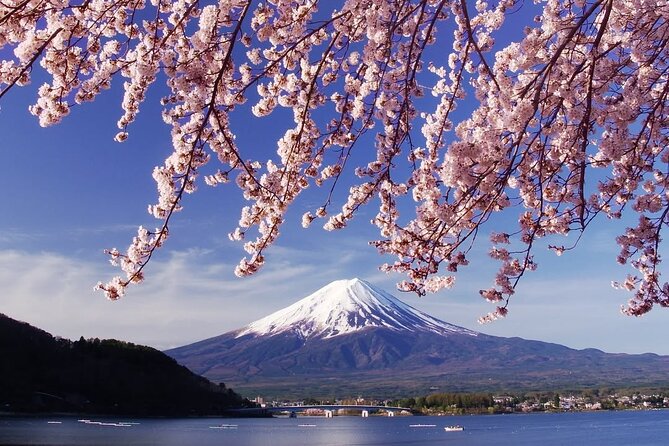 Tokyo: Mount Fuji One Day Trip Lake Kawaguchi & Lake Yamanaka - What this Mount Fuji day trip is really offering