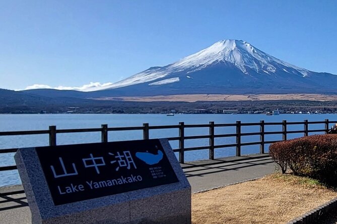 Tokyo: Mount Fuji One Day Trip Lake Kawaguchi & Lake Yamanaka - Oishi Park combines flowers, water, and Fuji