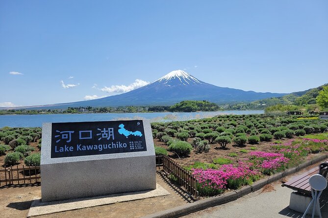 Tokyo: Mount Fuji One Day Trip Lake Kawaguchi & Lake Yamanaka - Lake Yamanaka, the quieter lake with a closer Fuji view
