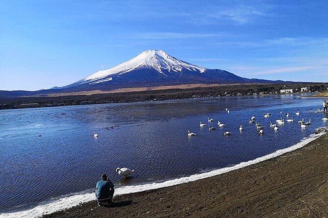 Tokyo: Mount Fuji One Day Trip Lake Kawaguchi & Lake Yamanaka - Oshino Hakkai adds water, village scenes, and local food