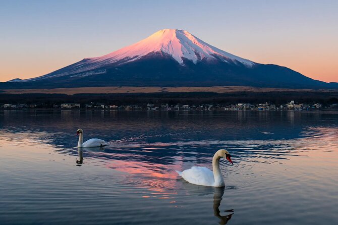 Tokyo: Mount Fuji One Day Trip Lake Kawaguchi & Lake Yamanaka - Chureito Pagoda is the day’s signature view