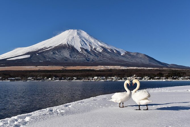 Tokyo: Mount Fuji One Day Trip Lake Kawaguchi & Lake Yamanaka - Arakura Fuji Sengen Shrine brings a quieter pause