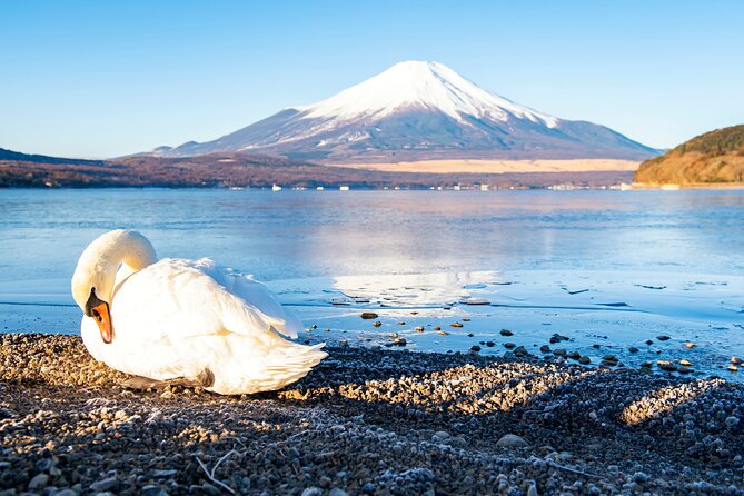 Tokyo: Mount Fuji One Day Trip Lake Kawaguchi & Lake Yamanaka