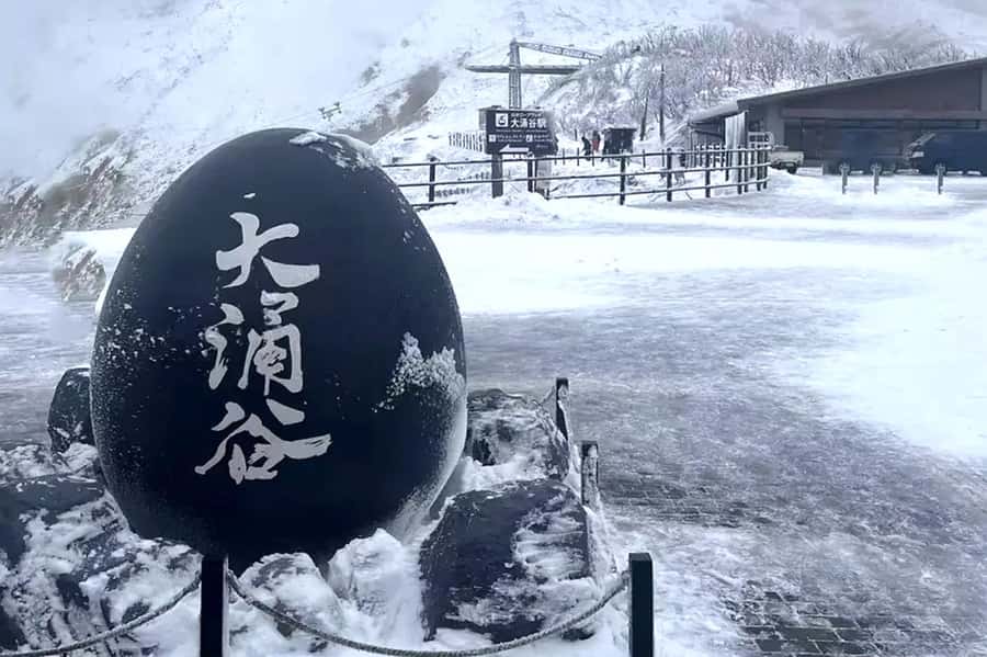Tokyo: Mount Fuji Views and KABA Amphibious Bus Day Tour - Yamanaka Lake and the choice of boats