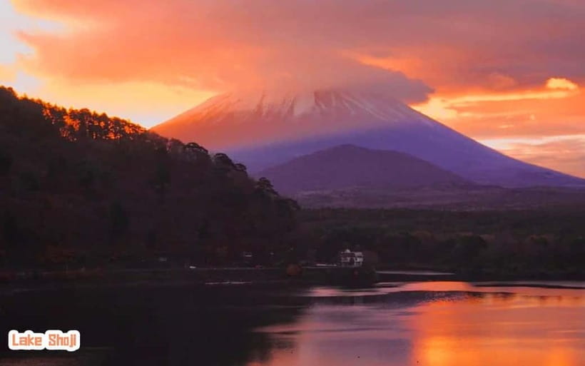 Tokyo: Mt Fuji 3 Lakes Day Trip | 9-Guest Small Group - Who should book this Fuji outing?