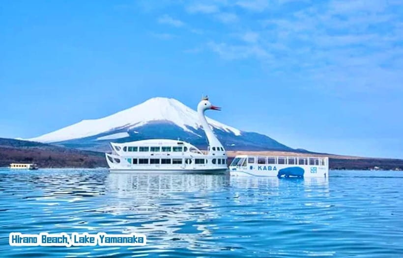 Tokyo: Mt Fuji 3 Lakes Day Trip | 9-Guest Small Group - What the $20 price really includes