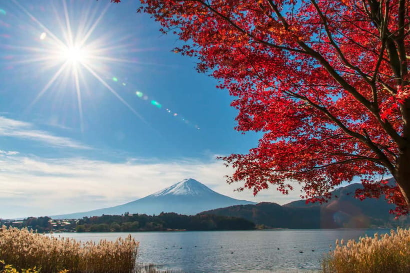 Tokyo: Mt. Fuji 5th St. & Hakushu Distillery Whisky Museum - Reaching Mt. Fuji’s 5th Station at 2,300 meters