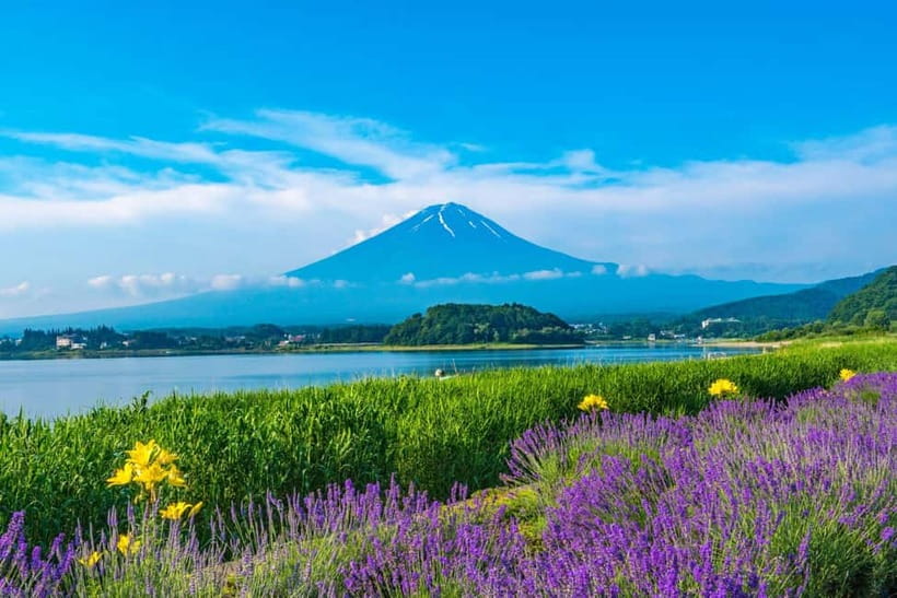 Tokyo: Mt. Fuji 5th St. & Hakushu Distillery Whisky Museum - Choosing three whisky tastings