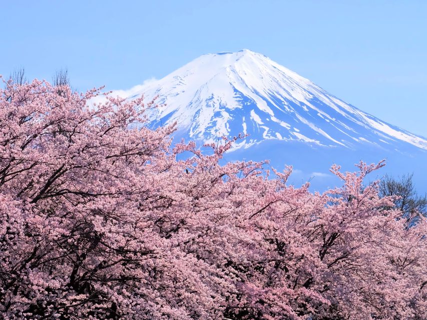 Tokyo: Mt. Fuji 5th Station & Hakone Cruise 1-Day Bus Tour - Why this tour works for a first day outside Tokyo