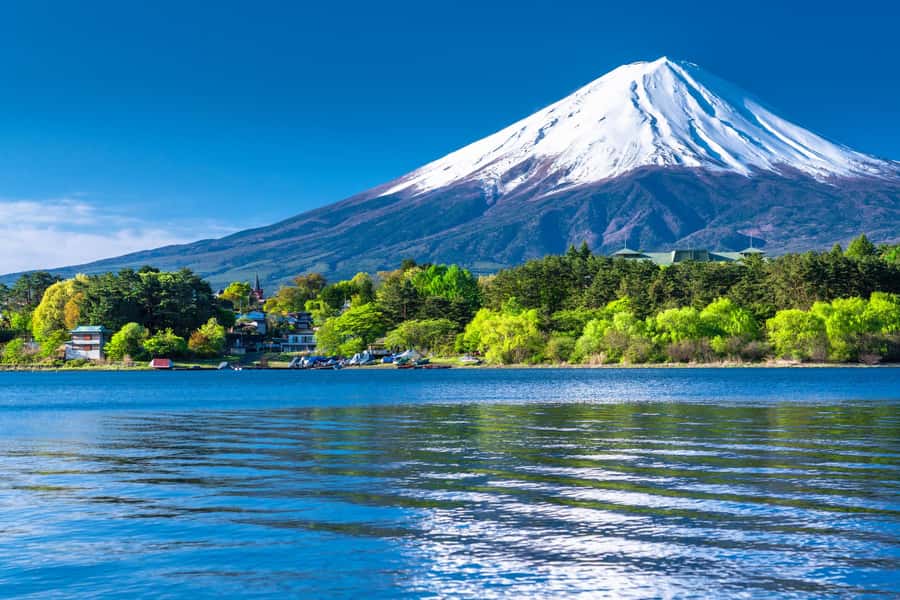Tokyo: Mt. Fuji 5th Station, Kawaguchiko Tour w/ Cable Car - Transport, Group Size, and the Real Time Commitment