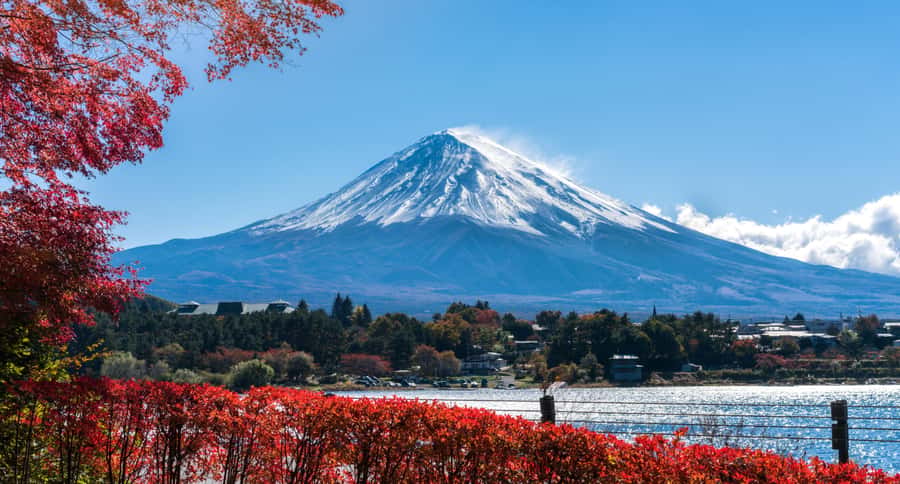 Tokyo: Mt. Fuji 5th Station, Kawaguchiko Tour w/ Cable Car - Weather, Seasons, and Fuji Visibility