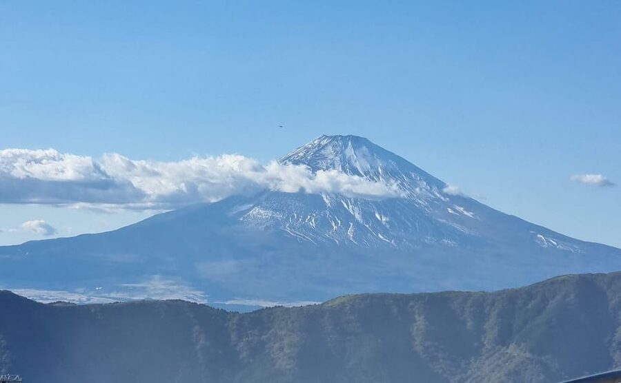Tokyo: Mt. Fuji and Hakone Tour with Cable Car and Cruise - The long return to Tokyo