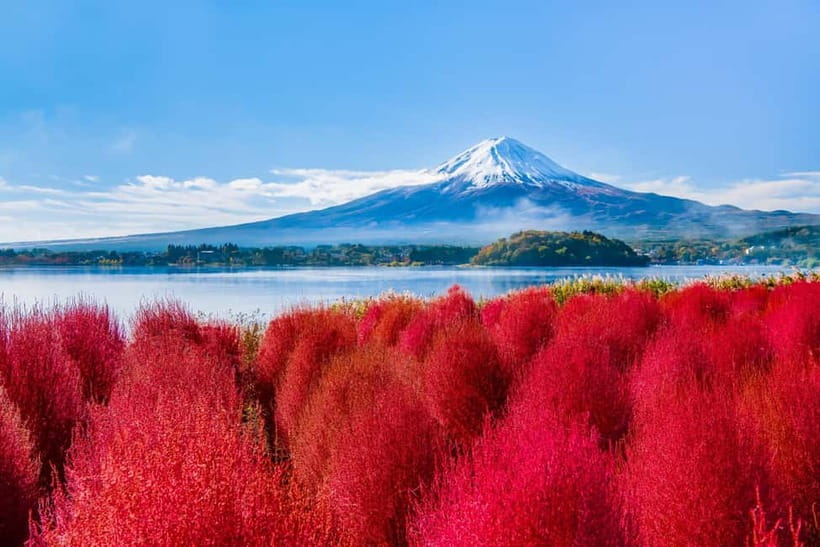 Tokyo: Mt. Fuji, Arakurayama Sengen Park, Oshino Hakkai Tour - Key points to know before booking